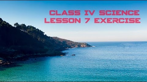 CLASS IV SCIENCE || LESSON 7 FOOD  EXERCISE || GRADE 4 SCIENCE