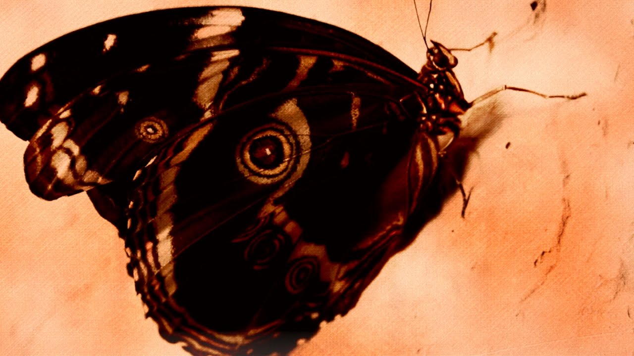 GHOSTALICE -【DEATH】MV