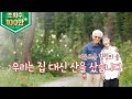 (살어리랏다4)우린 집 대신 50,000평 산을 샀습니다! (강원도 횡성)