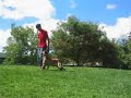 Dog Training School - Sit Means Sit Dog Training Franchise
