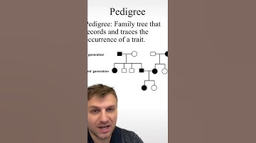 pedigrees #biology #biology #biology #education #biology #biology #biology