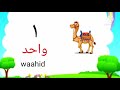 Arabic numbers from 1 to 10