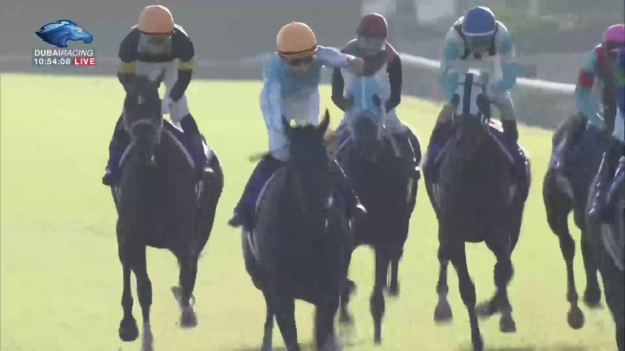 2020.10.18 Shuka Sho (JPN) - Daring Tact - YouTube