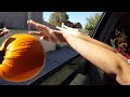 Kid Temper Tantrum Throws Sister's Pumpkin Out Car Window After Visit To Pumpkin Patch [ Original ]