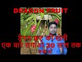 Complete Knowlege of Dragon Fruit Cultivation  ड्रैगन फ्रूट की खेती Part 1