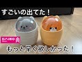 ダイソーで見つけた超売れてる3商品！Daisoで人気のコスパとデザインが最高なアイテム厳選して3+紹介します！