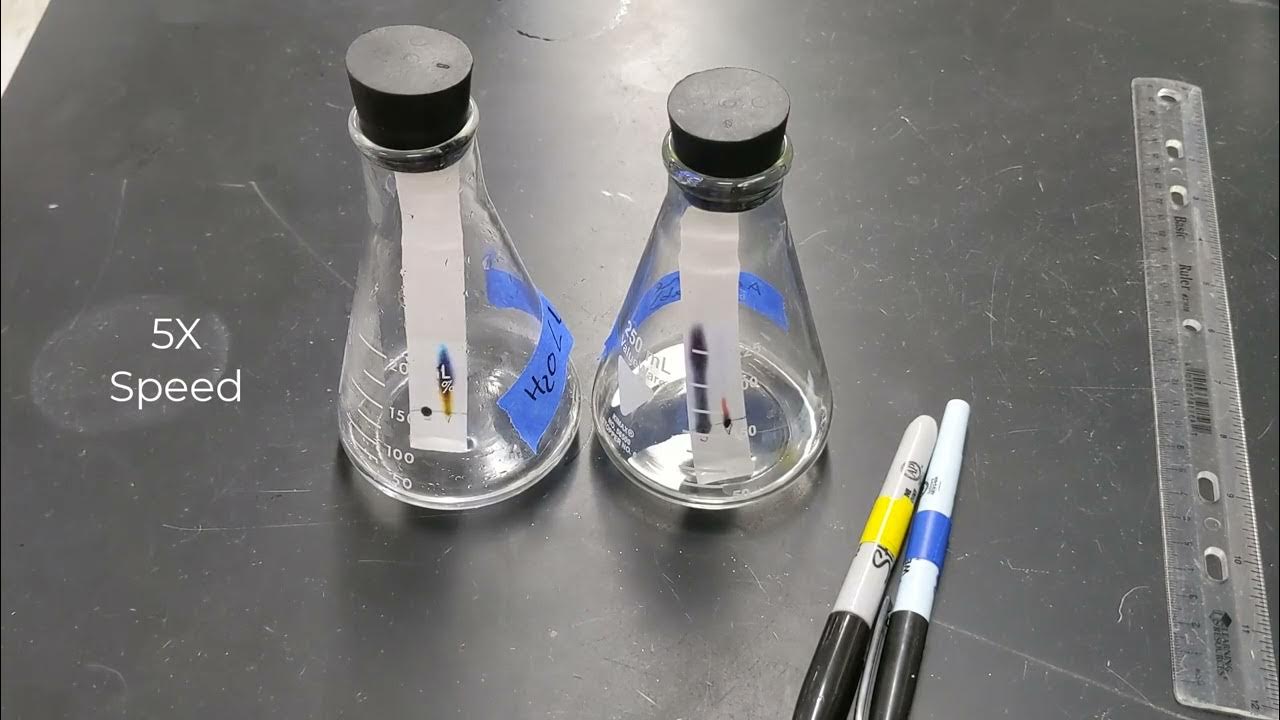 Chromatography Sharpie vs Vis a Vis YouTube