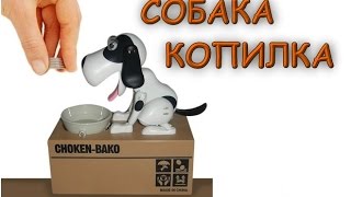 ОБЗОР-СОБАКА КОПИЛКА