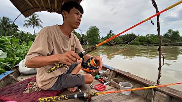 câu tôm sông điểm câu khu bè thới sơn chất lượng hơn số lượng @Xuanthuong91