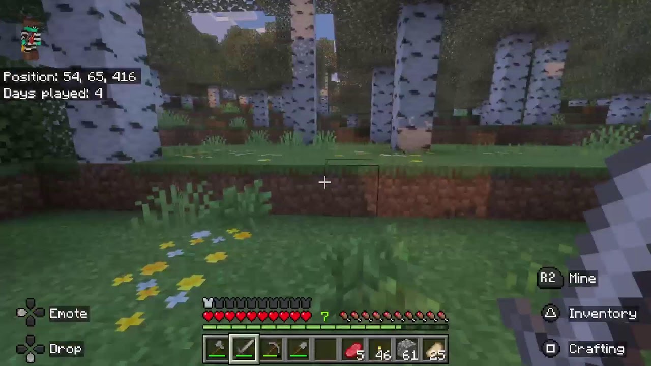 Just Chillin in Minecraft