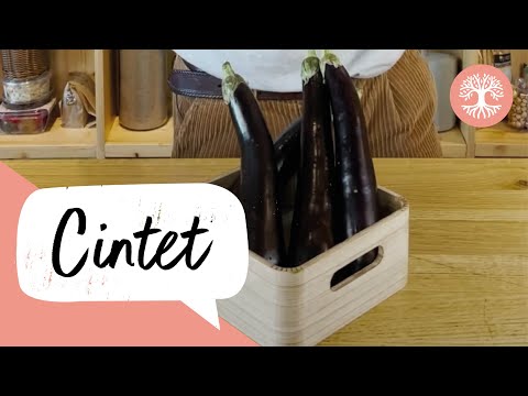 Vídeo: 6 maneres de cuinar pebrots