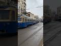 جمال إسكندرية في الشتاء   