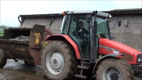 Muck spreading on maize stubble