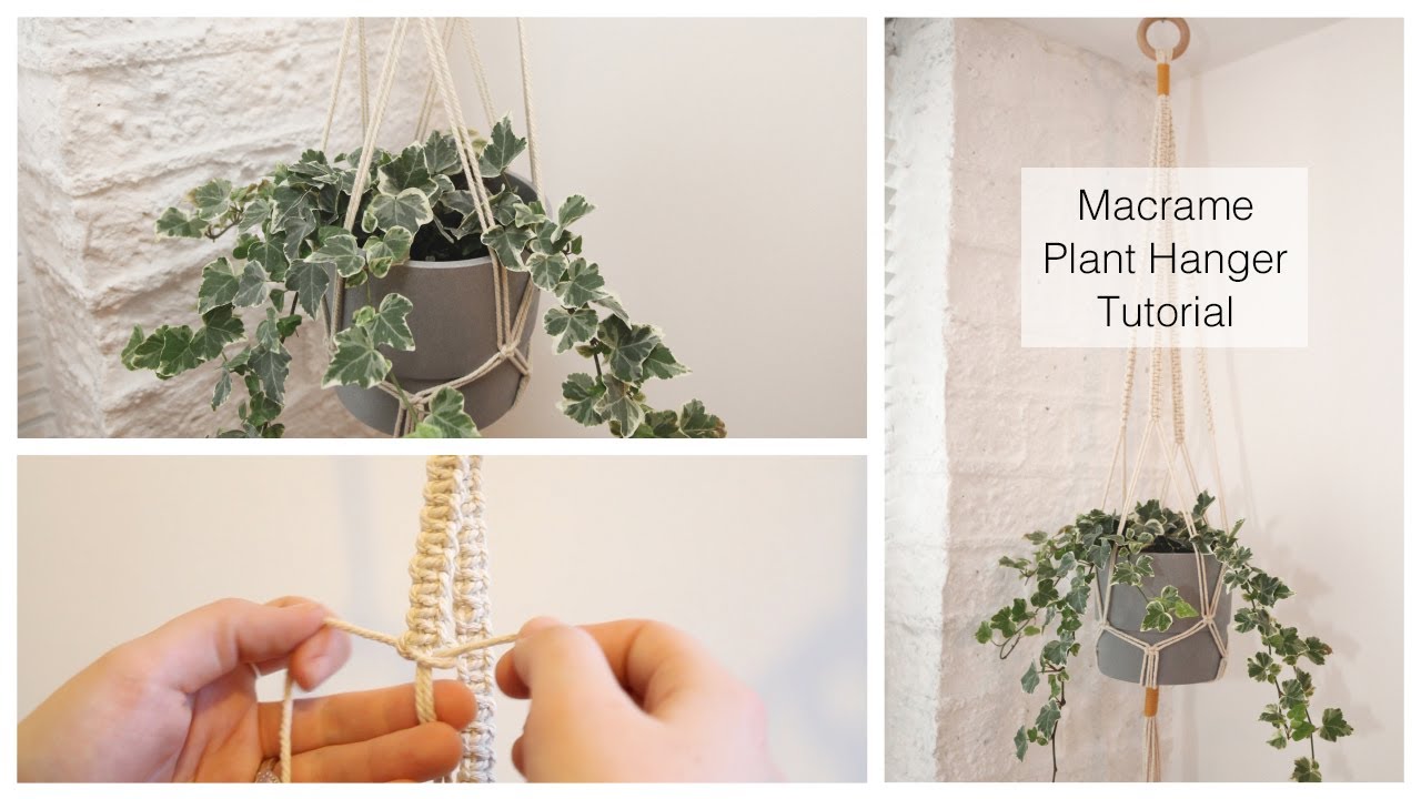 Macrame Plant Hanger for Beginners DIY Tutorial - YouTube