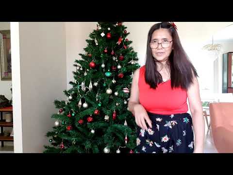 preparing-my-organic/live-xmas-tree-and-non-organic--xmas-tree.