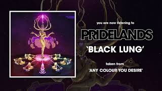 Watch Pridelands Black Lung video