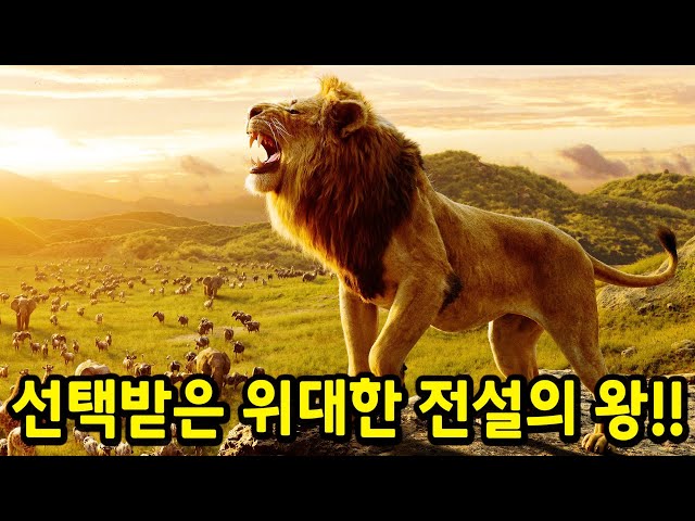 "1조" 이상 수익 찍고 재밌다고 난리난 "18분 순삭" 레전드 미국 애니.. ㄷㄷ