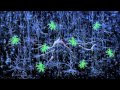Optogenetics: Controlling the brain with light