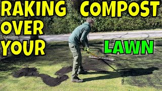RENOVATING  a SEEDED LAWN 6 Months old, Its EASY.