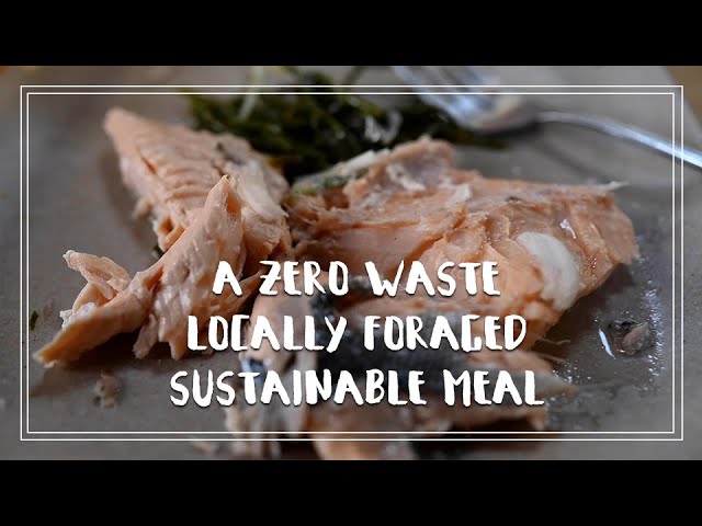 A Zero Waste, Sustainable, Foraged Meal Made Completely from the Sea! | Ch4 E27 | The Wayward Life
