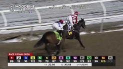 Woodbine: November 16, 2019 - Race 11