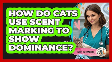 How Do Cats Use Scent Marking To Show Dominance? - Happy Cat Handbook