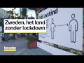 Geen lockdown in Zweden, de juiste strategie tegen corona? | Terzake
