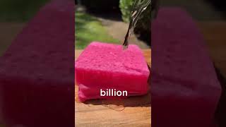 Random Fact You Didnt Know facts fact funfacts shorts short oddlysatisfying satisfying