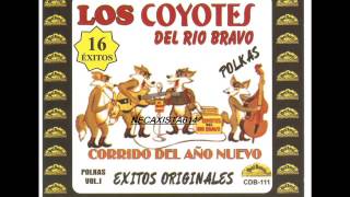 Los Coyotes Del Rio Bravo - La Coneja