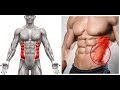 اقوى تمارين للبطن وعضلات جانبية  للبطن Obliques & V-Cut Abs