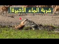شربة الماء الأخيرة| فخ الموت الصامت! #علوم_وثائقية