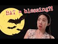 🦇 WHY BATS MEAN BLESSINGS | Chinese Culture Explained