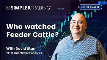 Fibonacci & Voodoo: Feeder Cattle? Who watched Feeder Cattle? | Simpler Trading