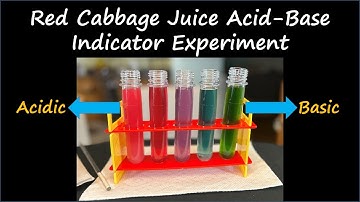 Cabbage Juice Acid-Base Indicator Experiment