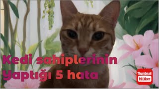 Kedi sahiplerinin yaptıgı 5 hata!