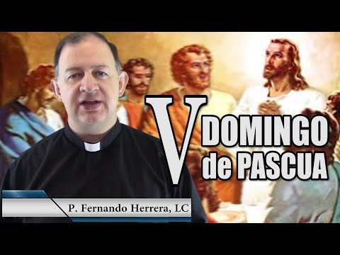 V Domingo de
