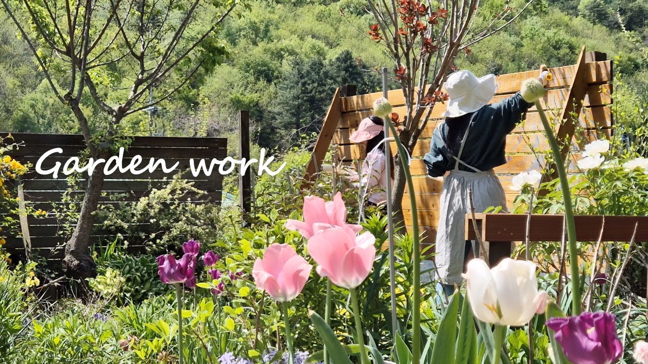 8년된 나무를 뽑았어요 ㅣ 4월말에 피어있는 꽃들을 소개해요.