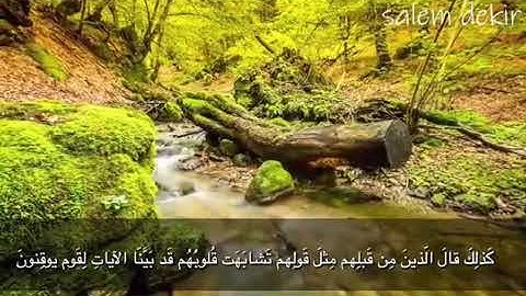 " بديع السماوات والأرض " تلاوة مؤثرة من سورة البقرة