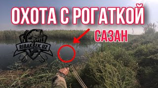 БАЛИК ОВИ РОГАТКА БИЛАН/ БАЛИККА ТОЛИБ КОЛГАН ЗБРОС/