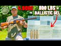 4 bore rifle vs ballistic gel the biggest rifle ever 
