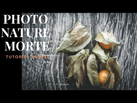 Photo nature morte | Tutoriel photo