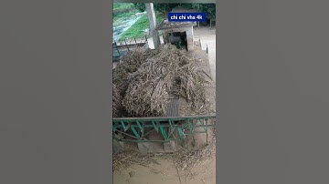 kỹ năng lái cẩu trong khu công nghiệp