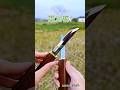 #Double Swords of the Mandarin Ducks #Super Cheap and Great Deal #fruit #knife #shorts #viral #yt