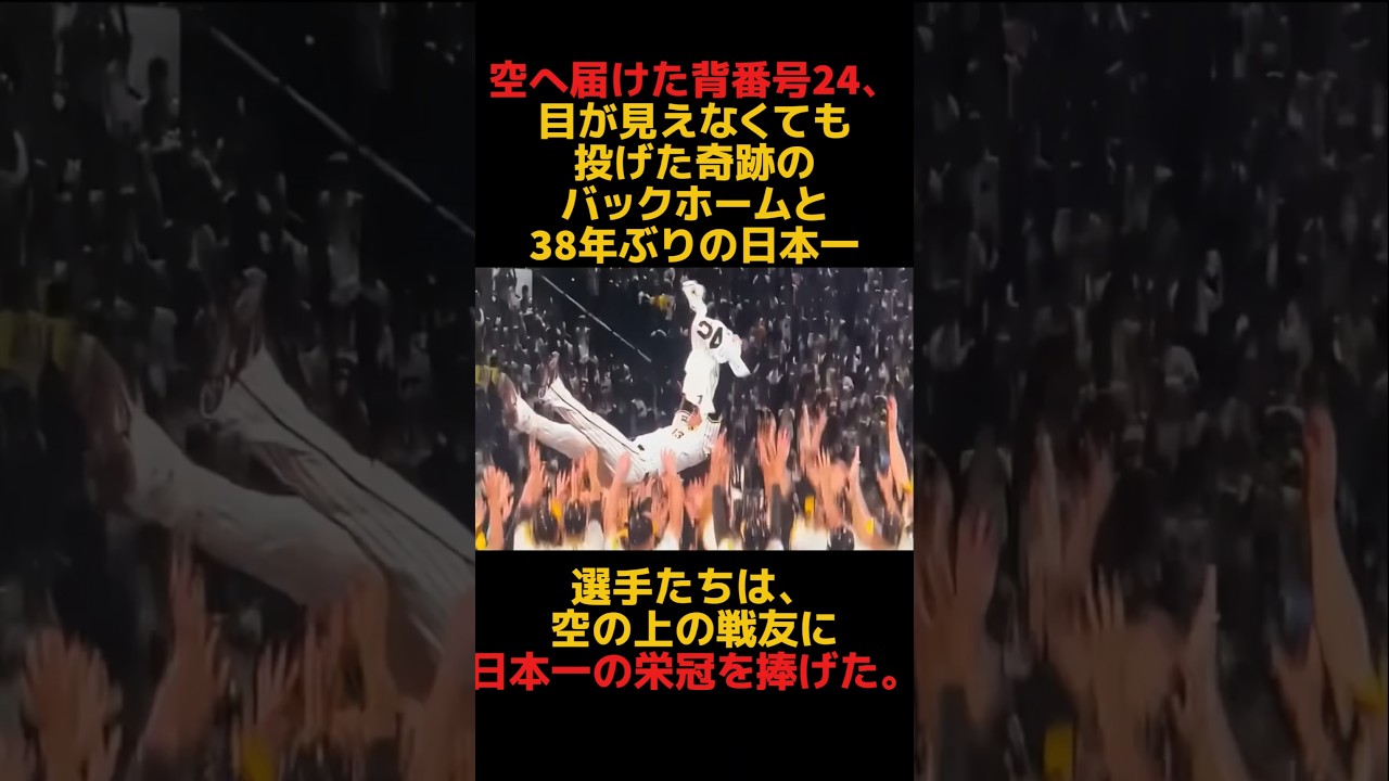【全米が泣いた実話】目が見えなくても投げた「奇跡のバックホーム」。天国の背番号24へ捧げた38年ぶりの日本一…#shorts
