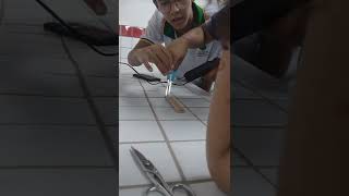 Trabalho De Física - Pêndulo De Newton