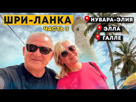 Видео: ШРИ ЛАНКА/9-арочный мост. Элла, Нувара Элиа, Форт Галле, Унаватуна. Рыбный рынок. Пляж с черепахами