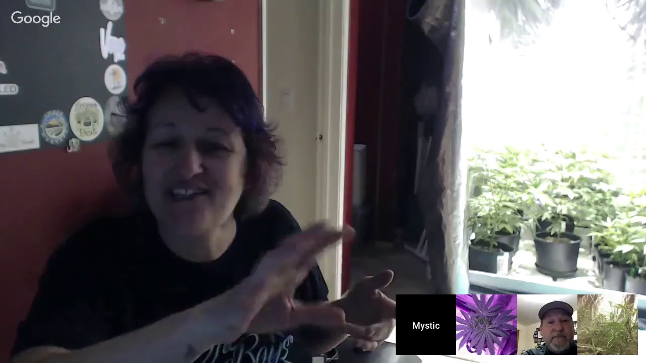 Dab & Gab episode 38 Its time for a Panelist Sesh