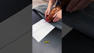 Galinhas Hipnotizadas?