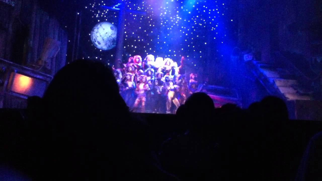 Cats México 2013 canto jelical