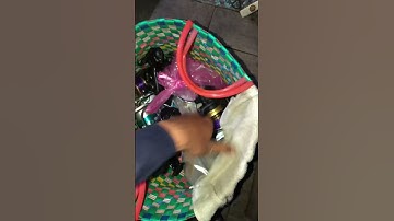 Săn cá cóc bằng cám Thứ Gì Chịu Nổi #cauca #fishing #caucavatrainghiem #xuhuong #shortvideo